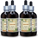 Cordyceps (Cordyceps Sinensis) Tinktura, Tekoči ekstrakt organskih posušenih gob (Brand Name: HerbalTerra, Proudly Made in USA) 4x4 fl.oz (4x120 ml)