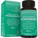 Viva Natural Pycnogenol - 100mg francoski pomorski pine Bark Extract – Podpira cirkulacijo, antioksidantu podobne dejavnosti, sklepov in imunskega zdravja in funkcije – 60 Veggie kapsule