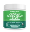 Ekološki sok iz ječmena - zraste v vulkanskih tleh Utah - Raw & BioActive Form, hladno pripravljen nato posušen CO2 – Gluten brez GSO, Vegan - komplementi Wheatgrass Juice Powder - 5.3 oz