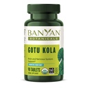 Banyan Botanicals Gotu Kola (Centella Asiatica) – Organic Adaptogen & Nootropic Brain Support Supplement for Healthy Memory & Koncentracija* – 90 Tablets – Fairly Traded Sustainable Sounded Vegan