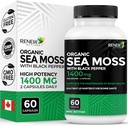 Renew Actives Sea Moss Triple-Action Antioksidant Mešanica z BioPerine – Organic Irish Sea Moss 500MG, Bladderwrack 500MG & Burdock Root 400MG na 2 kapsuli – Izdelano v Kanadi - 60 kapsul
