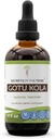 Skrivnosti Tribe Gotu Kola Tincture Alkohol Tekoči ekstrakt, Gotu Kola (Centella Asiatica) Suhi Herb (4 FL OZ)