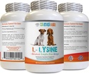 Imunski sistem Pasja hrana - Dog LYSINE Prašek - Čista oblika v prahu - Podpora imunskega sistema - Vet Priporočeno - lizin Dvojna moč - 1 steklenica (8oz 226.8 Grams)