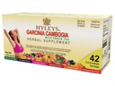 HYLEYS Tea Garcinia Cambogia Zeleni čaj z izbranimi aromami - 42 čajnih vrečk (12 paketov - 504 čajne vrečke skupaj)