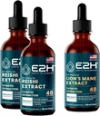 E2H: Reishi (2 paket) & Levji izvlečki grive - energija, dolgoživost, kognitivna ostrina, imuniteta - Non-GMO, Vegan - 2 Fl Oz Vsak (6 Fl Oz skupaj) -