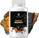 Chaga gobe Gumies – Antioksidant Imunska podpora dodatek - Prehranska goba dodatek - 60 Gumies - Made in USA - Shrooms for Health - Organic Vegan Frendly