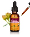 Herb Pharm Certified Organic Rhodiola Root Extract za energijo, vzdržljivost in Stamina, Alkohol brez glicerola, 1 Ounce