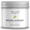 Pure Garcinia Cambogia Extract dodatek 500mg - 100% naravni HCA ekstrakt koncentriran do 60% - Podpira zdravo prebavo in presnovo - 60 kapsul