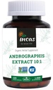Inkas andrographis Kapsule Max andrographides - 1. 000 mg Velikost služenja (120 kapsul) - klinično proučeno za zdravje imunskega sistema in ne GSO, preverjeno z NSF