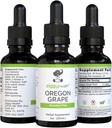 Premium Organic Oregon Groep Root Tinkture - Alkohol-free Extract, 1oz 