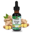 Narava je odgovor Ginger Root Alkohol brez izvlečka 1 Ounce 