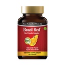 Brazilska rdeča čebela visoki koncentrat Propolis (120 kapsul)