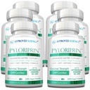 Odobrena znanost Pyloriprin - Napredna digestivna podpora za zdravo želodčno sluznico - cinkov L-karnozin, probiotik, brokoli sprout, degliciriziran Licorice - 360 kapsul - šest mesecev oskrbe - Vegan