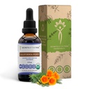 Skrivnosti California Poppy Tinkture Tekoči ekstrakt brez alkohola, USDA Organic California Poppy (Eschscholzia Californica) Posušena korenina (2 FL OZ)