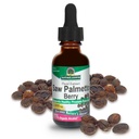 Narava je odgovor Saw Palmetto Berry Extract Zeliščni dodatek z organskim alkoholom, 1-Fluid Ounce 