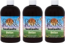 Yerba Prima Great Plains Bentonite Clay - 16 oz (Pack of 3) - Naravno notranje tekoče Clay čiščenje dodatek