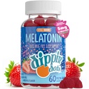 Melatonin Sleep Support Gumies (60 Count) Jagoda Sunset Creme Flavor Chews 