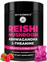 Natural Reishi Gobe Gumies & L Theanine z Ashwagandha - Močne gobe dopolnila za imuno podporo, Stress Relief & izboljšanje spanja Gumies - Ashwagandha Gumies za ženske in moške