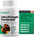 Vitasave Cordyceps goba dodatek – 1000mg Ultra moč – naravna energija, vzdržljivost in imunske podpore – Čiste Veganske kapsule – Ne-GMO, Gluten-free – 120 Število (60 dnevna dobava)