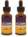 Herb Pharm Certified Organic Celandine Liquid Extract - 1 Ounce (paket z 2)