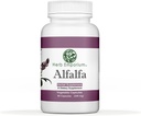 Herb Emporium Alfalfa (Medicago Sativa L, Alpalpa) Kapsula 90 Zelenjavne kapsule (340 mg) Zeliščni dodatek za zdravo prebavo (Pack po 1)