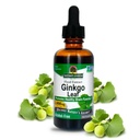 Naravoslovni odgovor Alkohol brez Ginkgo Biloba Leaf Extract, 2 Ounce, 2 Count 