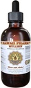 Mullein Liquid Extract, Organic Mullein (Verbascum densiflorum) Tinkture, Zeliščni dodatek, Havaji Pharm, Made in USA, Havaji Pharm, Made in USA 2 fl.oz