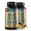 Shilajit Pure Himalajanske organske kapsule z irskim morskim Mossom, Ashwagandha, bakerom, korenom sladkorne pese - Fulvic Acid Trace Minerals Supplement za moške in ženske - 90 Count, Non-GMO, Gluten-free