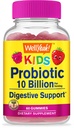 WellYeahe Probiotiki za otroke Gumiji -10 milijard CFU - za zdravje Gut, Imunsko zdravje in prebavna podpora - Berry Flavor Žvečljiva dopolnilo - Vegan, Non GSO, Gluten Free Kids Probiotic -60 Gumies