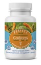 Popolni dodatki – Perfect Cordyceps – 90 Zelenjavne kapsule – Organski adaptogeni zeliščni dodatek – povečuje energijo, vzdržljivost in moč