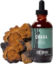 Tinktura iz gob North Spore Chaga 