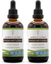 Skrivnosti Tribe Stinging Nettle Root Tinkture Alkohol Extract, visokopotenzivne zeliščne kapljice, Tinktura narejena iz Stinging Nettle Urtica Dioica dihal in urinarnega sistema zdravje 2x4 oz