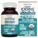 Ekološki jod dodatek iz morskih rastlin kompleks, Cela hrana & Raw Form - Iodine Plus Trace Mineral Complex – Vsebuje najčistejše islandsko morje Kelp, Irish Moss & Bladderwrack (250 μg)