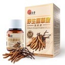 Wild Cordyceps Plus – Tibetanski Wild Cordyceps & 5 Gojeni Cordyceps za imuno, energijo in pljučno podporo – 60 kapsul