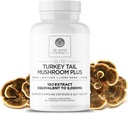 DR. EMIL HRANILO Turčija Rep gobe Kapsule - Turčija rep gob dopolnilo za imuniteto in Gut zdravje - Elite Formula z levo Mane, Chaga, Reishi & Maitake