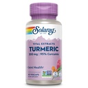 SOLARAY Kurkuma dodatek 300 mg - Kurkuma korenski ekstrakt s 95% Curcumin - Skupna podpora dodatek za skupno zdravje in udobje - Non-GMO, Vegan, Gluten brezplačno, 60-dnevno garancijo, 60 Servings