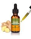 Herb Pharm Certified Organic Ginger Liquid Extract za digestivno podporo - 1 Ounce