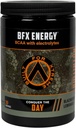 BFX Energy Pre Workout Powder Supplement (BlackBerry Lemonade) z BCAA, Elektroliti in zeleni čaj List za naravni kofein, Intra in post Workout Muscle Recovery, 30 Servings