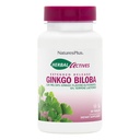 Natures Plus Herbal Actives Ginkgo Biloba, razširjena sprostitev - 120 mg, 60 Veganske tablete - Vegetarian, Gluten-free - 60 Serving