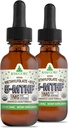 RawGuru Metilfolate 1mg+ Vitamin B12 - Organski veganski metiliran B12 s Trace Minerals - nano-procesirana in izboljšana tekoča formula - 300 Serving veganskih kapljic na 30 ml, Pakiranje 2
