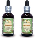 Selfheal (Prunella Vulgaris) Glicerit, Tekoči ekstrakt organskega posušenega zelišča Alkohol-FREE (Brand name: HerbalTerra, Ponosno izdelan v ZDA) 2x2 fl.oz (2x60 ml)