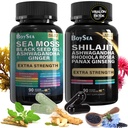 Boysea. Shilajit in Sea Moss Bundle- 90 Count - Sea Moss, Black Seed Oil, Ashwagandha, Ginger & Shilajit, Rhodiola Rosea, Vse v 1 dodatki (1 Pc)