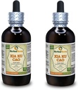 Xia Ku Cao, Prunella (Prunella Vulgaris) Tinktura, Tekoči ekstrakt iz organskega posušenega Spike Powderja (Brand Name: HerbalTerra, Proudly Made in USA) 2x4 fl.oz (2x120 ml)