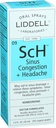 Liddell homeopatski sinus prebavni in glavobol Spray, 1 Fluid Ounce