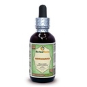 Ashwagandha (Witania Somnifera) glicerit, organsko posušen korenski alkohol brez tekoče ekstrakt 2 oz