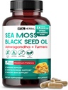 Sea Moss z oljem iz črnega semena, Ashwagandha, Turmeric & Moringa – Imunska, Joint & Skin Support dodatek – 60 Kapsule – Vital Herbal – Lab-Tested, Non-GMO, Made in USA
