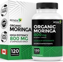 Obnovitev Actives Moringa Leaf Supplement 800MG na 2 Kapsule- Antioksidant-Rich Moringa Oleifera - Spodbuja dobro zdravje in dobro počutje - enostavno pogoltniti - Izdelano v Kanadi - 120 kapsul