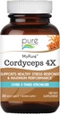 PURE BESENCE LABS MyPure Cordyceps 4X gobe - Koncentrirana Cordyceps gobe v prahu dodatki za imunski sistem, Stress Response, Fizične in duševne zmogljivosti - 1 mesec dobave