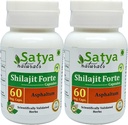 Shilajit Forte Kapsule 500 mg 60 Veg. Kapsula 