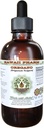 Oregano Alkohol-free Liquid Extract, Organic Origano (Origanum vulgare) Suhi list Glicerit Naravni zeliščni dodatek, Havaji Pharm, ZDA 4 fl.oz